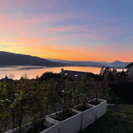Maisonnette Vue Panoramique Lac D'Annecy 维里尔·杜·拉克 外观 照片