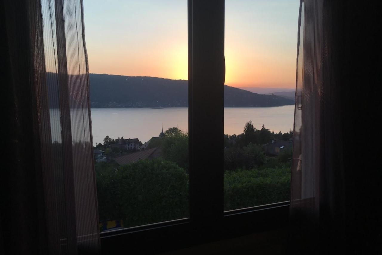 Maisonnette Vue Panoramique Lac D'Annecy 维里尔·杜·拉克 外观 照片