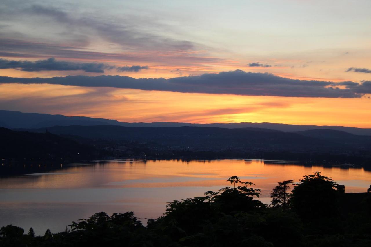 Maisonnette Vue Panoramique Lac D'Annecy 维里尔·杜·拉克 外观 照片