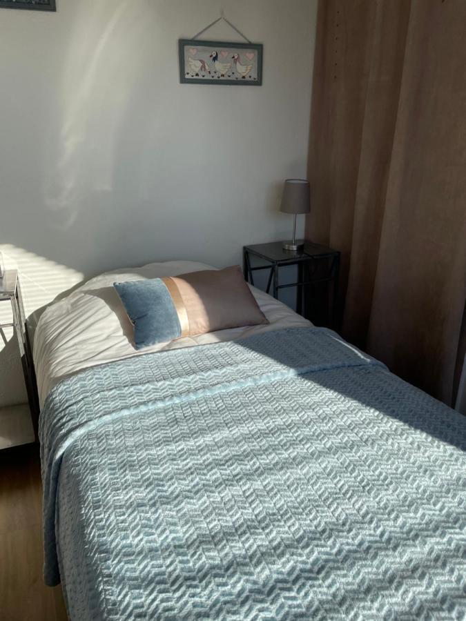 Maisonnette Vue Panoramique Lac D'Annecy 维里尔·杜·拉克 外观 照片