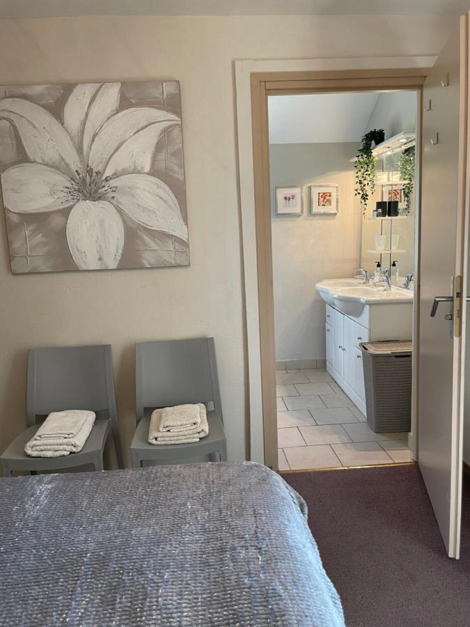 Maisonnette Vue Panoramique Lac D'Annecy 维里尔·杜·拉克 外观 照片